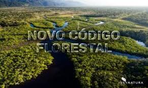 O novo Código Florestal explicado em 12 pontos